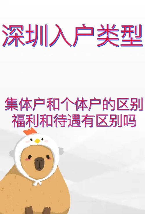 深圳人才市场集体户到期_深圳集体户口有效期_深圳集体户口类型