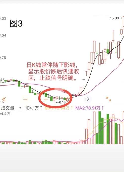 期货高手王向阳_玛雅星海投资咨询有限公司董事长_期货人王向阳破产自杀