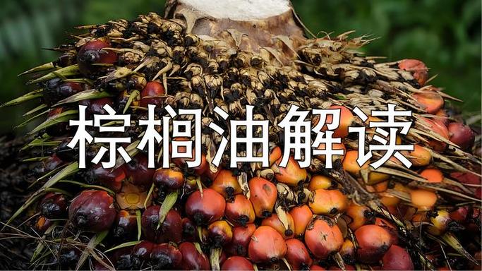 棕榈油期货市场分析_棕榈油投资分析_棕榈油期货哪年推出