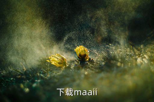 下载maaii