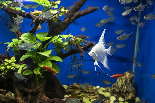 中年止损_放下过去_如何按时间止损设置时间点