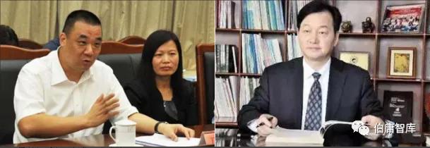 行业数据分析_证券公司股民资料_公司基本面研究