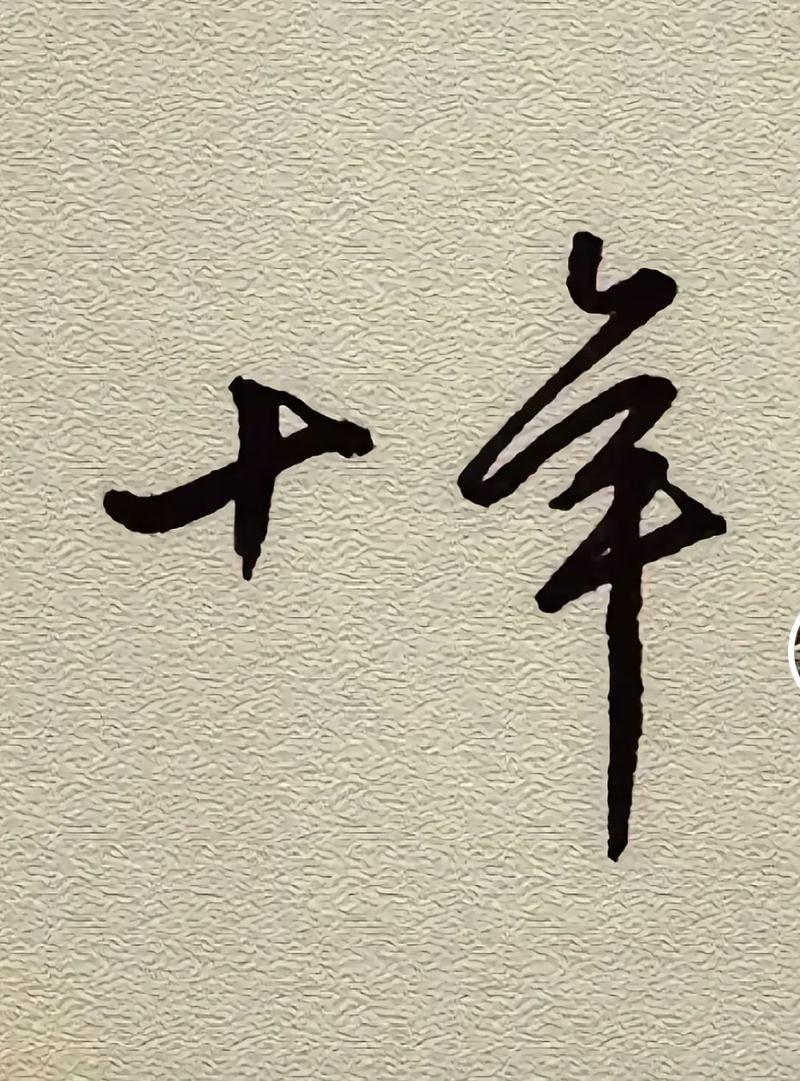 股票配资新公司 _ 广东配资市场调查 _点石股票配资公司