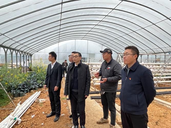 流转土地抵押贷款_土地经营权质押贷款_贷款质押