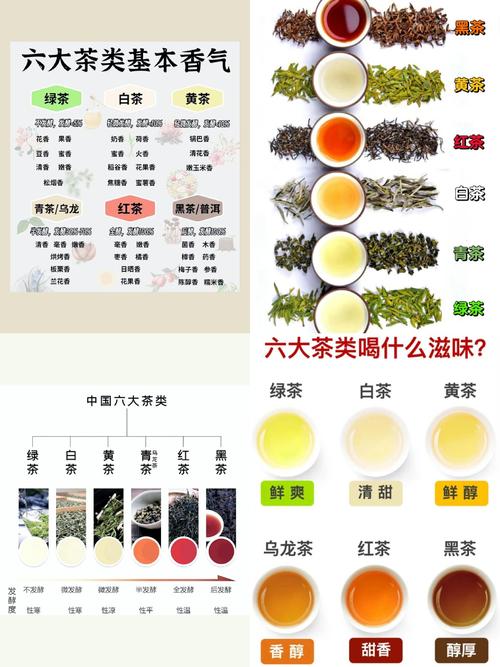 煮茶与泡茶的区别_点茶煮茶泡茶那个好_煮茶更有意境