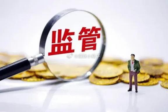  2024年中国证监会执法情况 __中小投资者退市保护