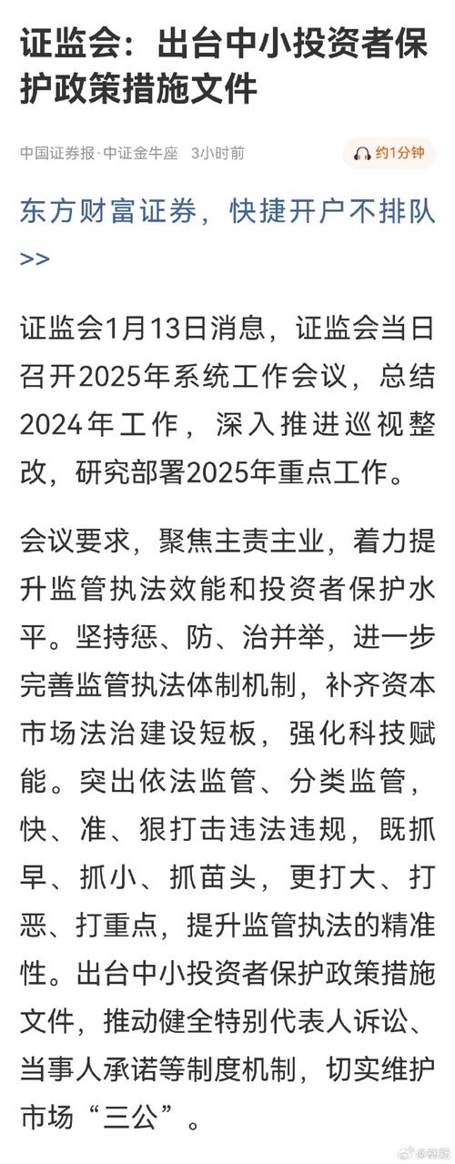 中小投资者退市保护_证券期货违法案件查处_2024年中国证监会执法情况