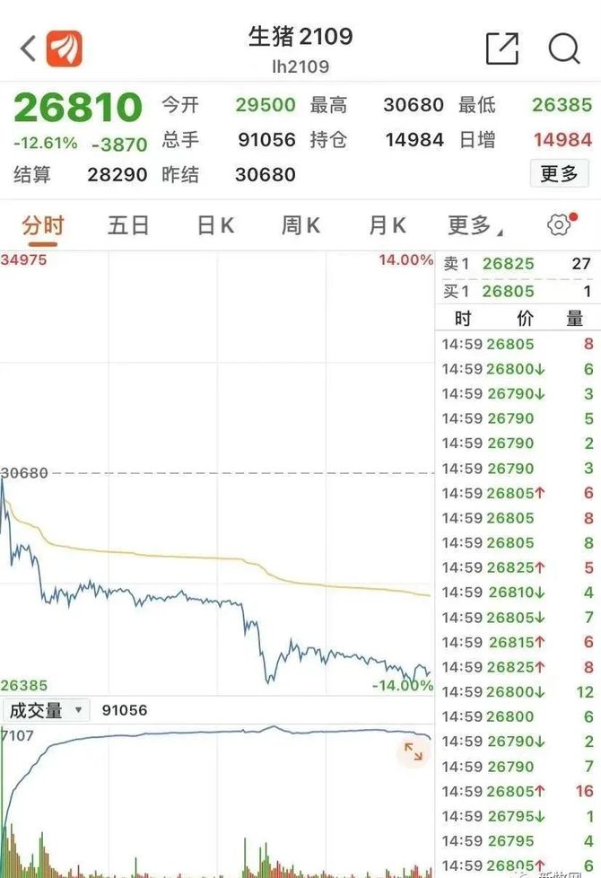 猪事邦, 生猪期货上市首日竟跌停！猪肉期货能对猪价有啥影响？