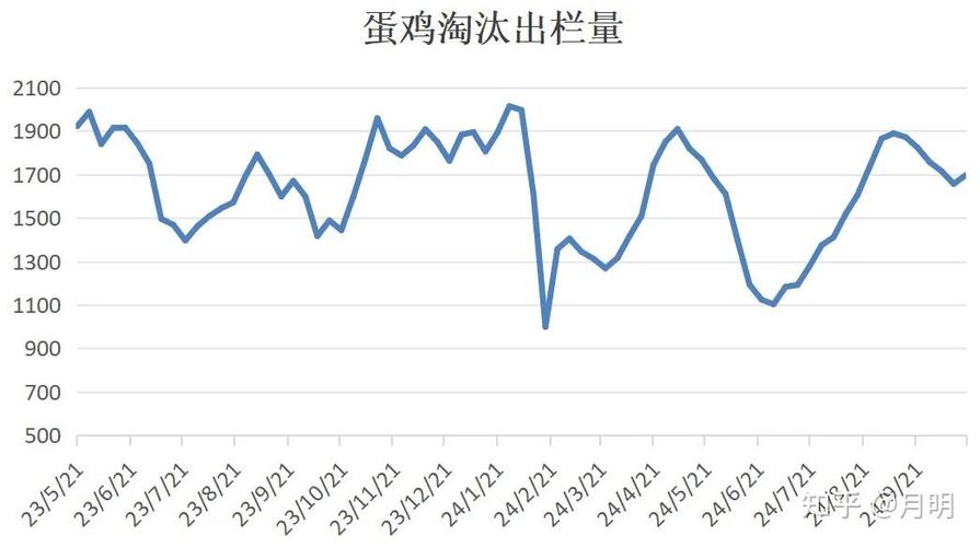 鸡蛋主力合约2510减仓市场动态_鸡蛋期货主力合约2510分析_2025年9月期货投资分析考试真题