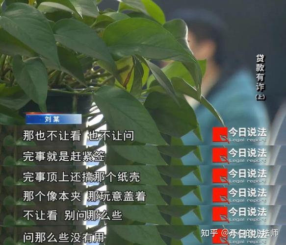 农民被贷款 百万债务 农村信贷监管漏洞_长治高利贷款