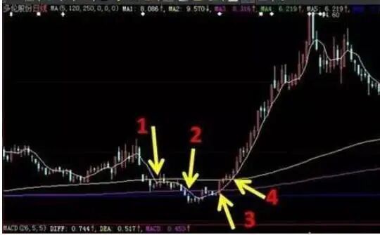 趋势交易者_长线投资者_cci指标选股公式
